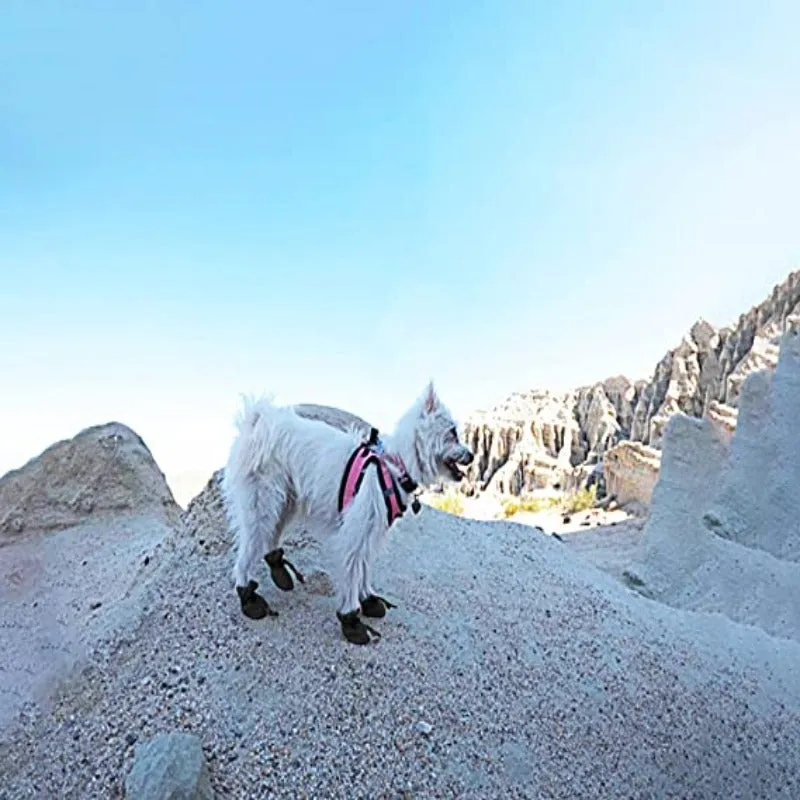 Adidas Shoes Aesthetic 4 Packs Dogs Anti-Slip Boots