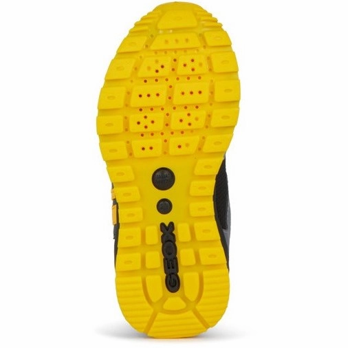 Geox J Pavel B Trainers Feet Ease