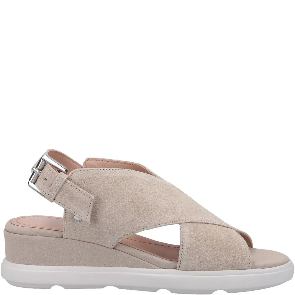 Step Free Stylish Sandals Geox D Pisa A Buckle Sandal