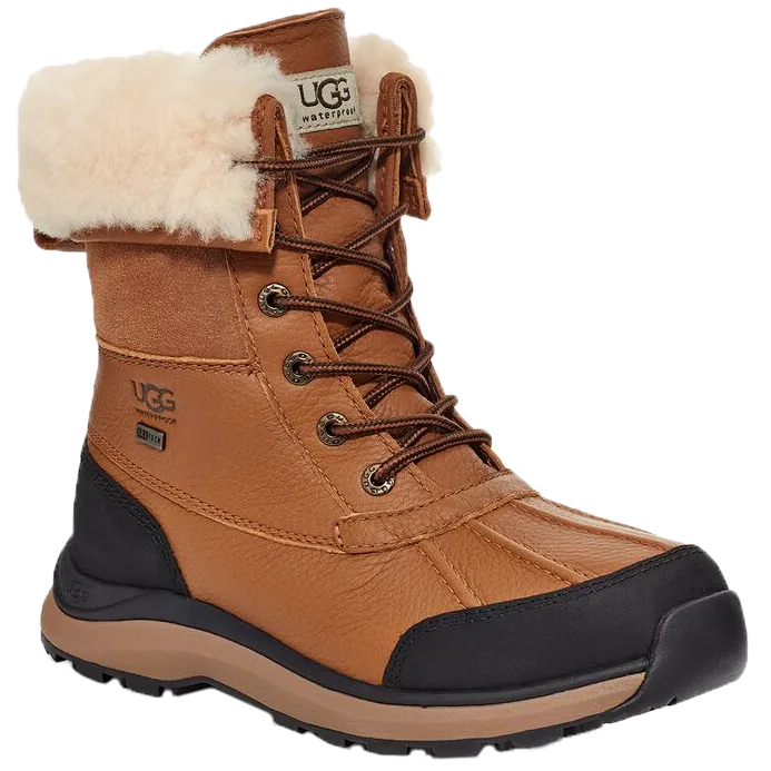 Snow Boots For Great Danes Women's Adirondack Boot III