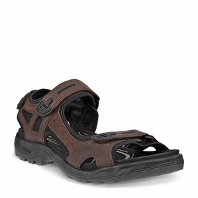 Men's Ecco, Yucatan Sandal padded sole Lifted Feel