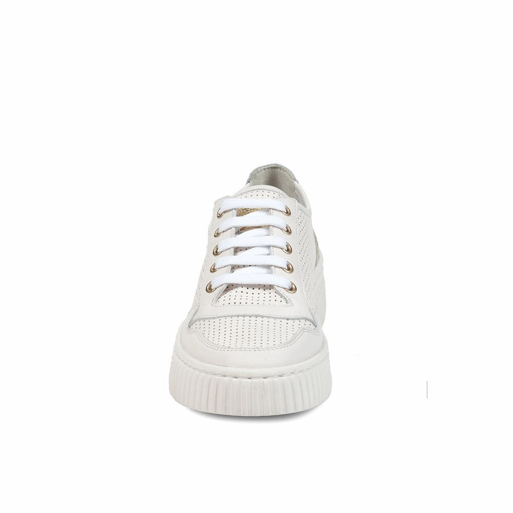 Geox Licena Trainer carbon - fiber - plate