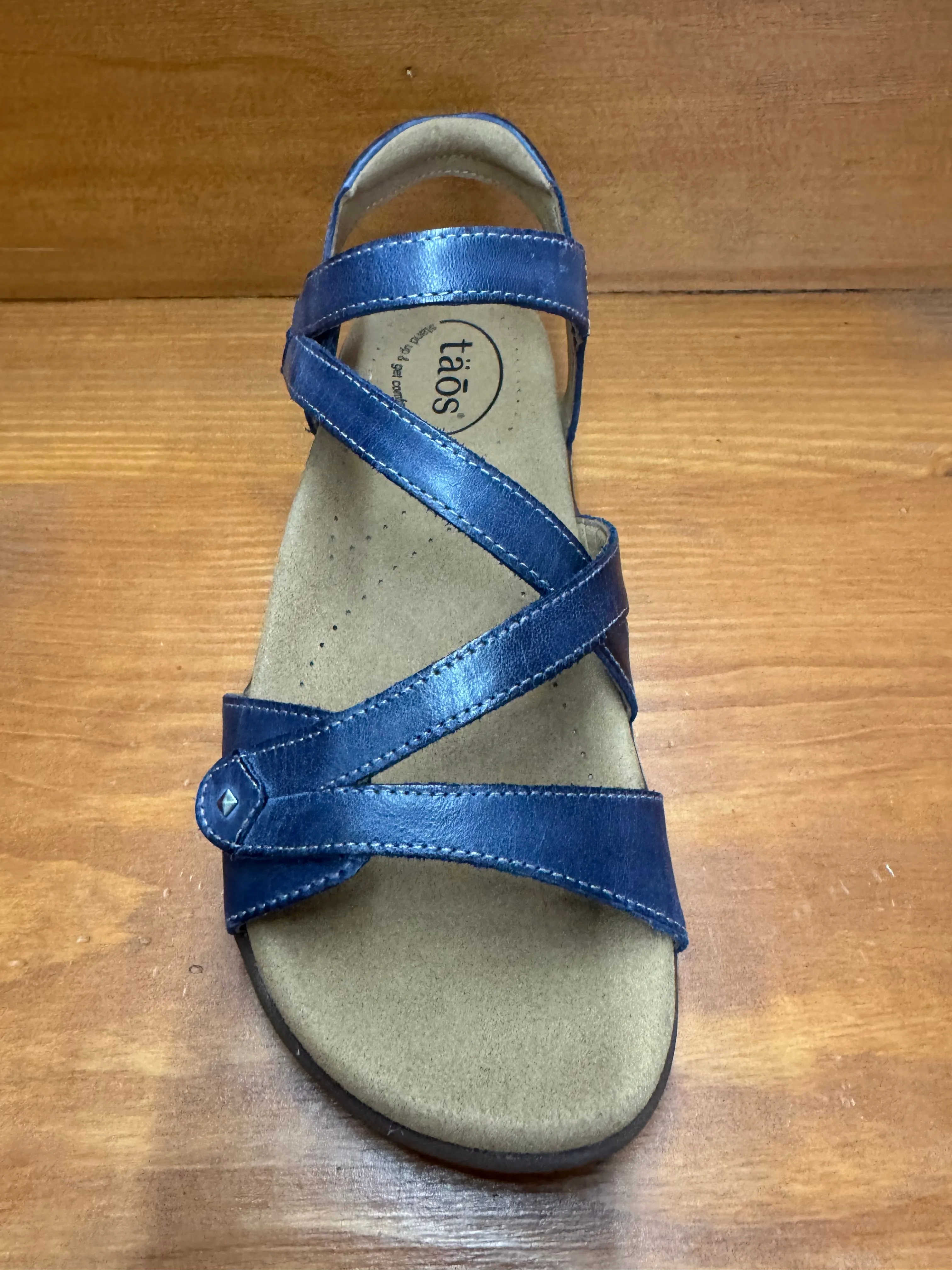 Pet Walk Subtle Texture Taos Big Time Dark Blue