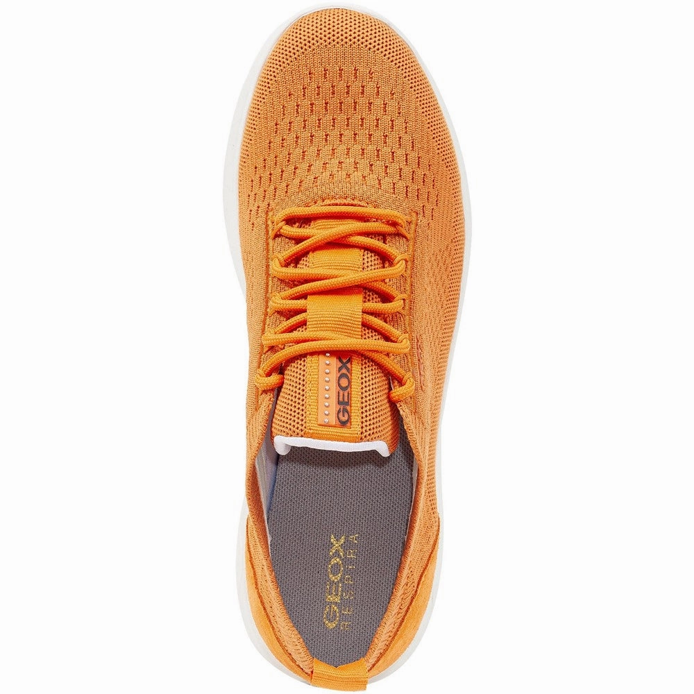 solid - colored shoes Geox D Spherica A Sneakers