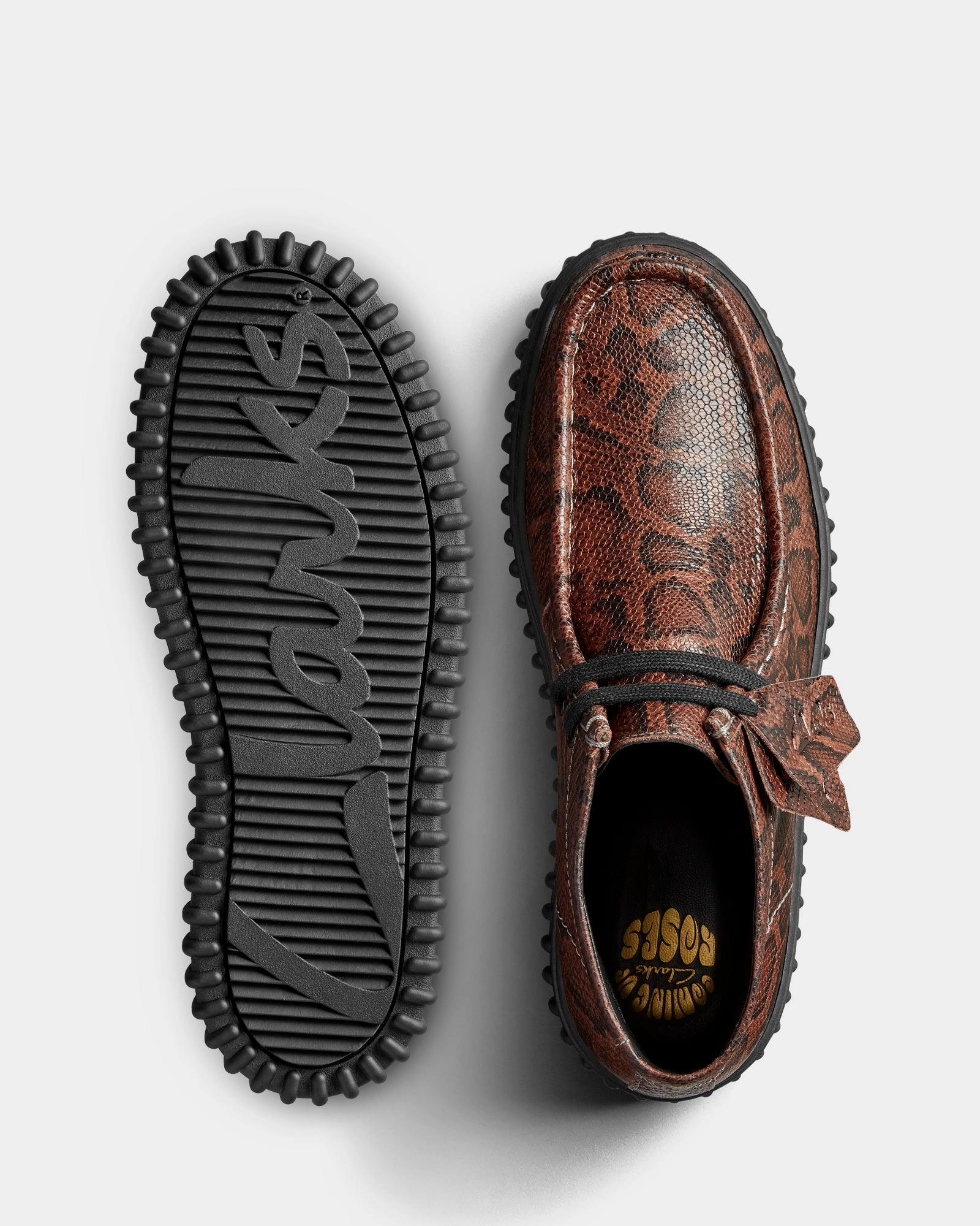 Cur Torhill Hi (M) Brown Snake Smooth