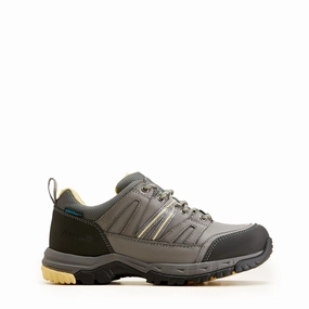 Active Style shoe maintenance Ariat Womens Skyline Summit Low Waterproof Boot Grey