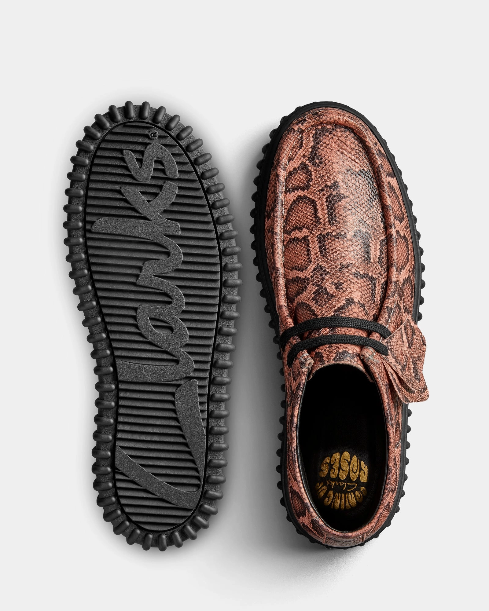 Cur Torhill Hi (M) Rose Snake Dusk Step