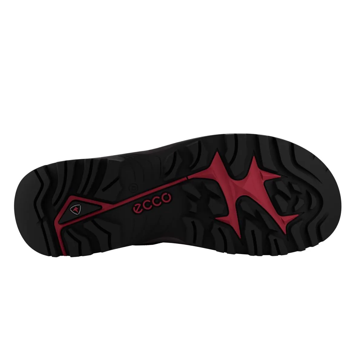 Adidas Terrex Trail Running Shoes ECCO OFFROAD M WOMEN'S