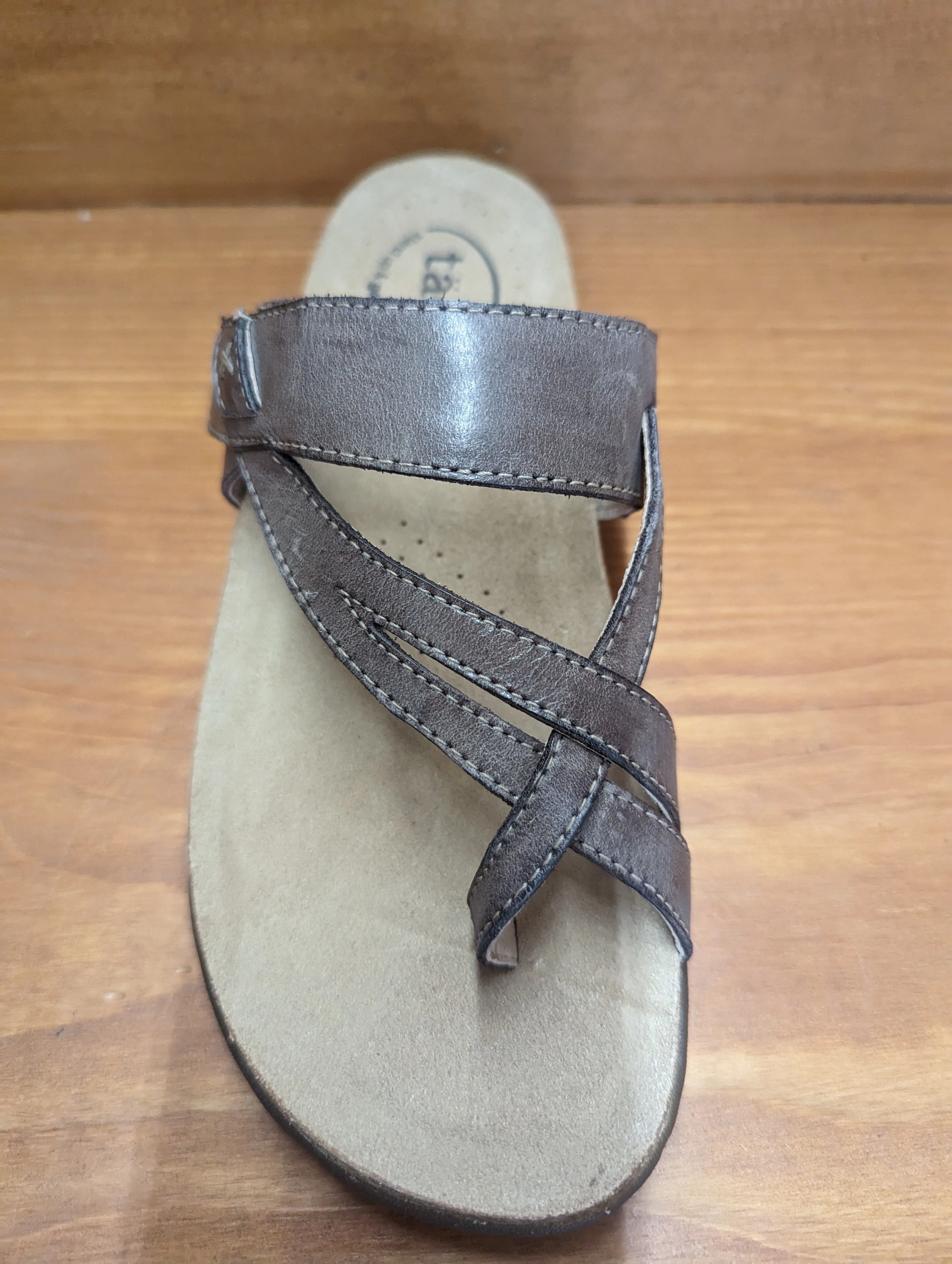 Taos Perfect Espresso buckle