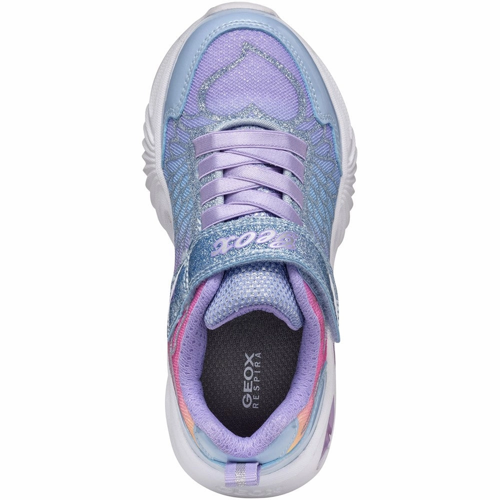 Geox J Assister G. A Junior Sneakers Buckle Strap