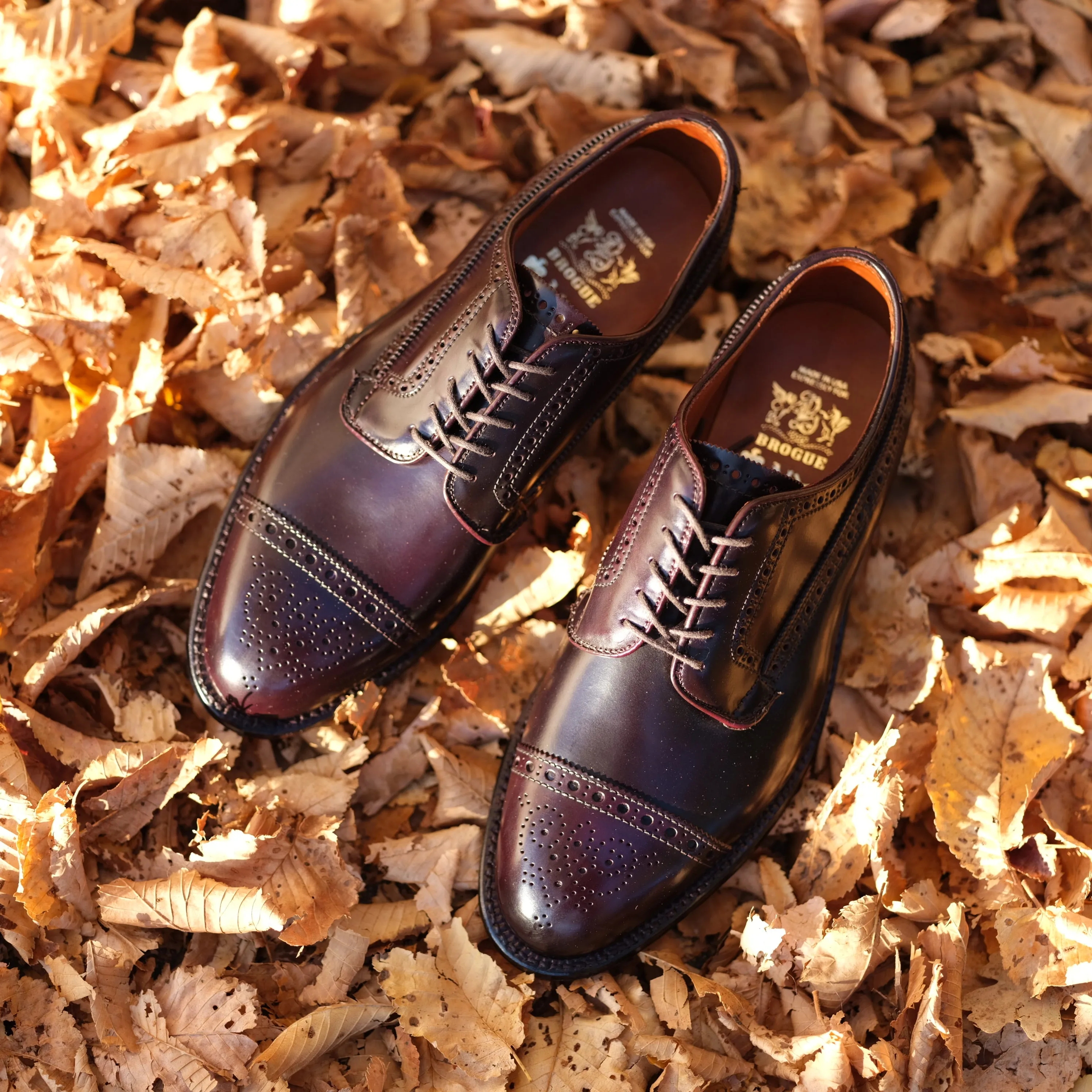 Alden x Brogue Atom Blucher New Balance 9060 Grey/concrete