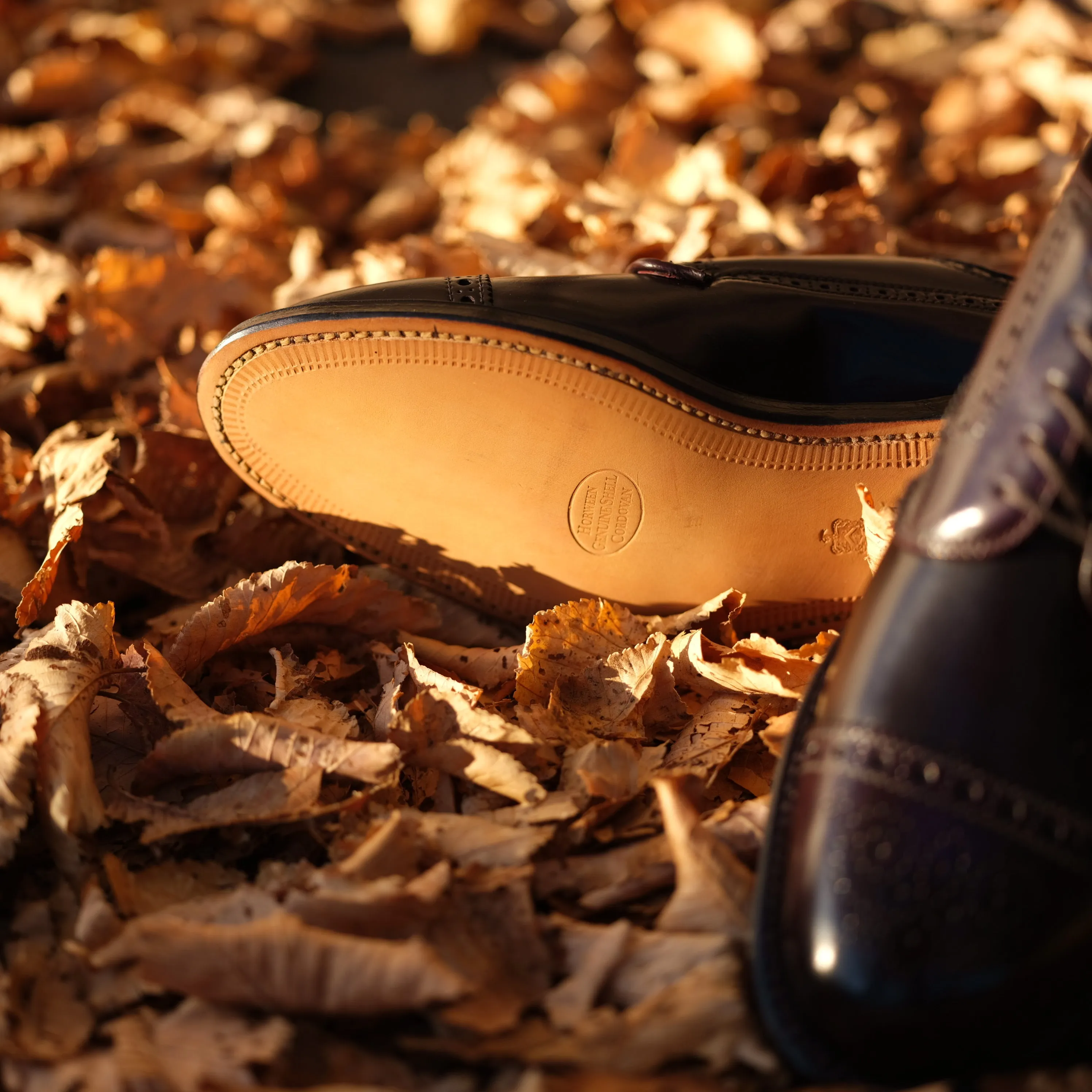 Alden x Brogue Atom Blucher New Balance Nurse Shoes