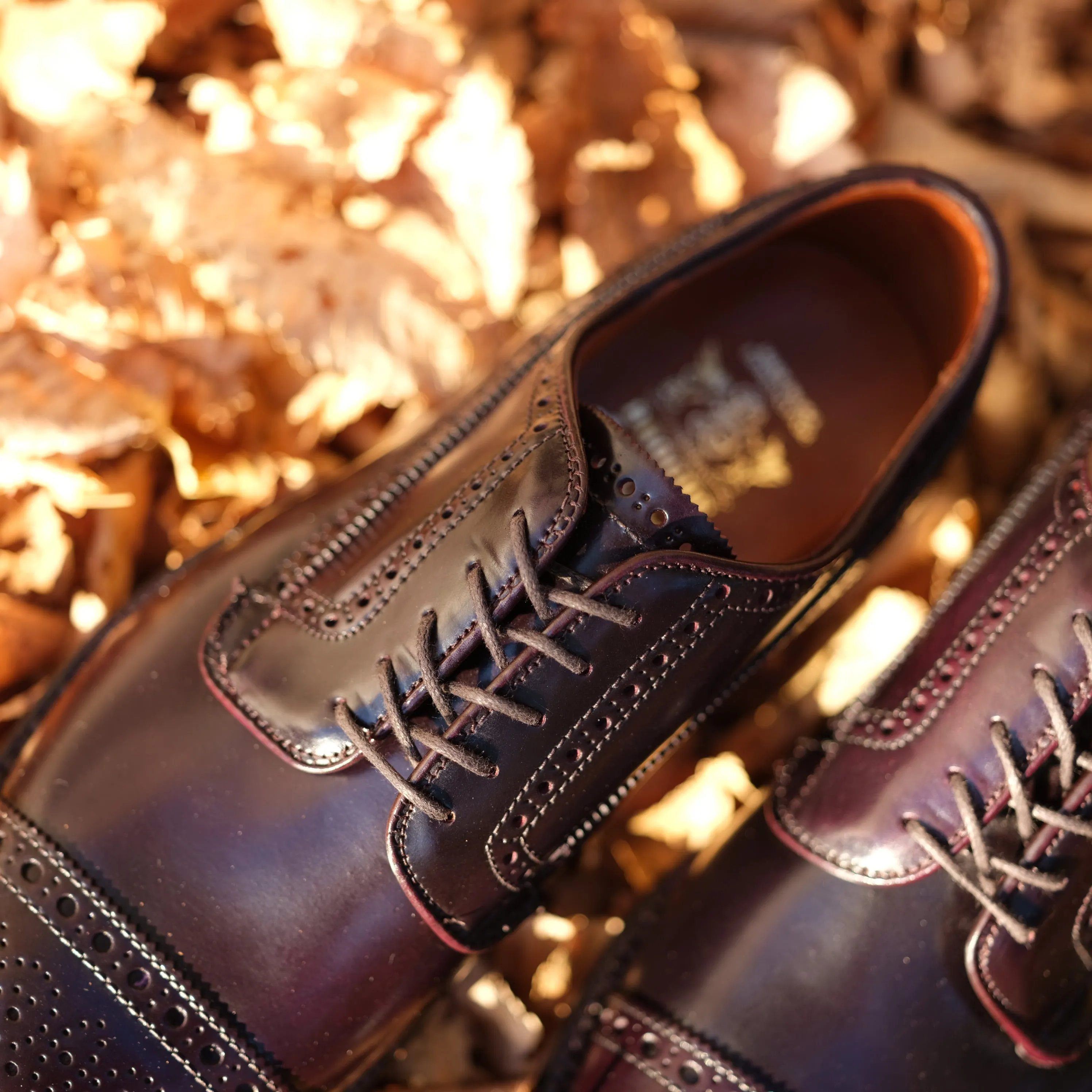 Alden x Brogue Atom Blucher New Balance Beige