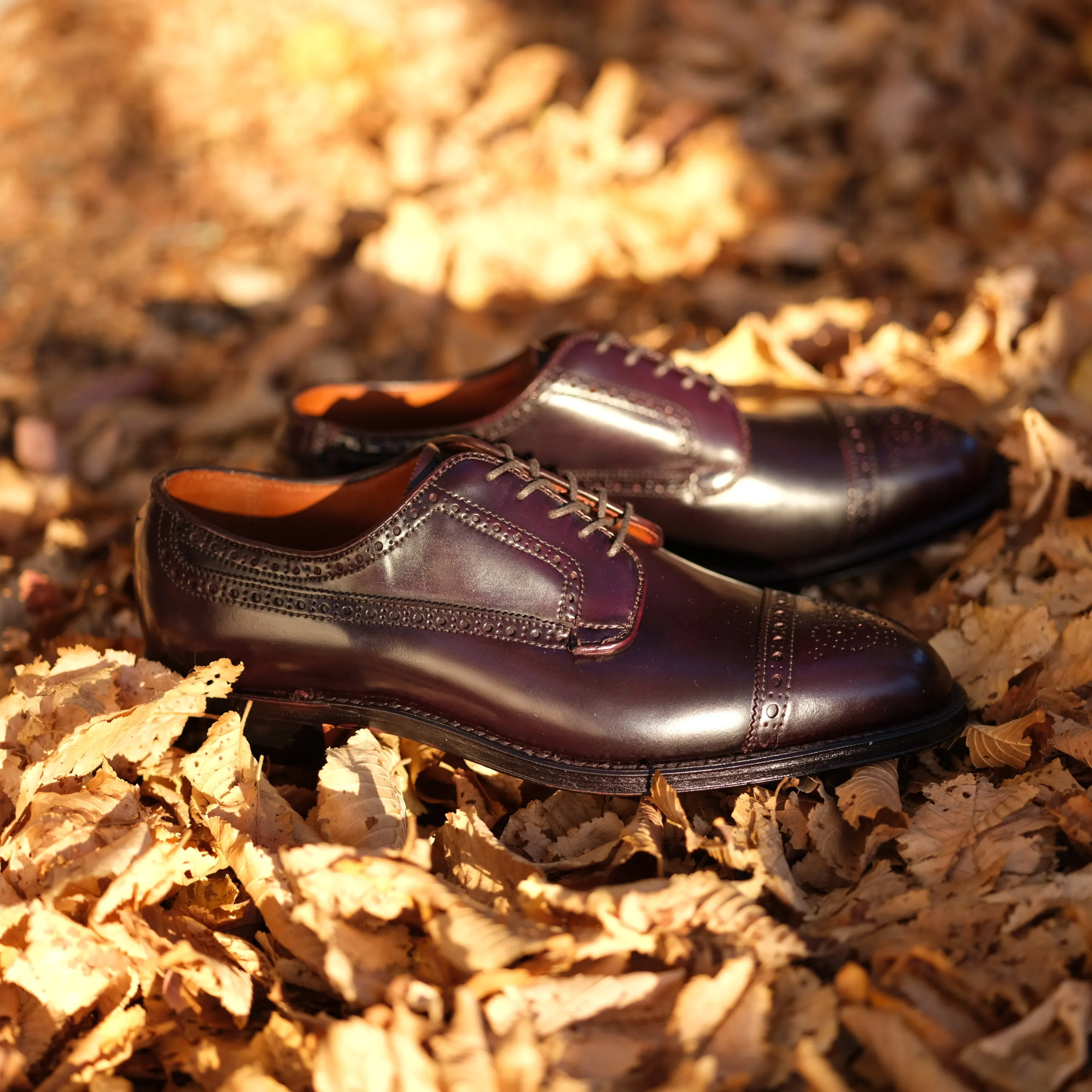 Alden x Brogue Atom Blucher New Balance Track Suits