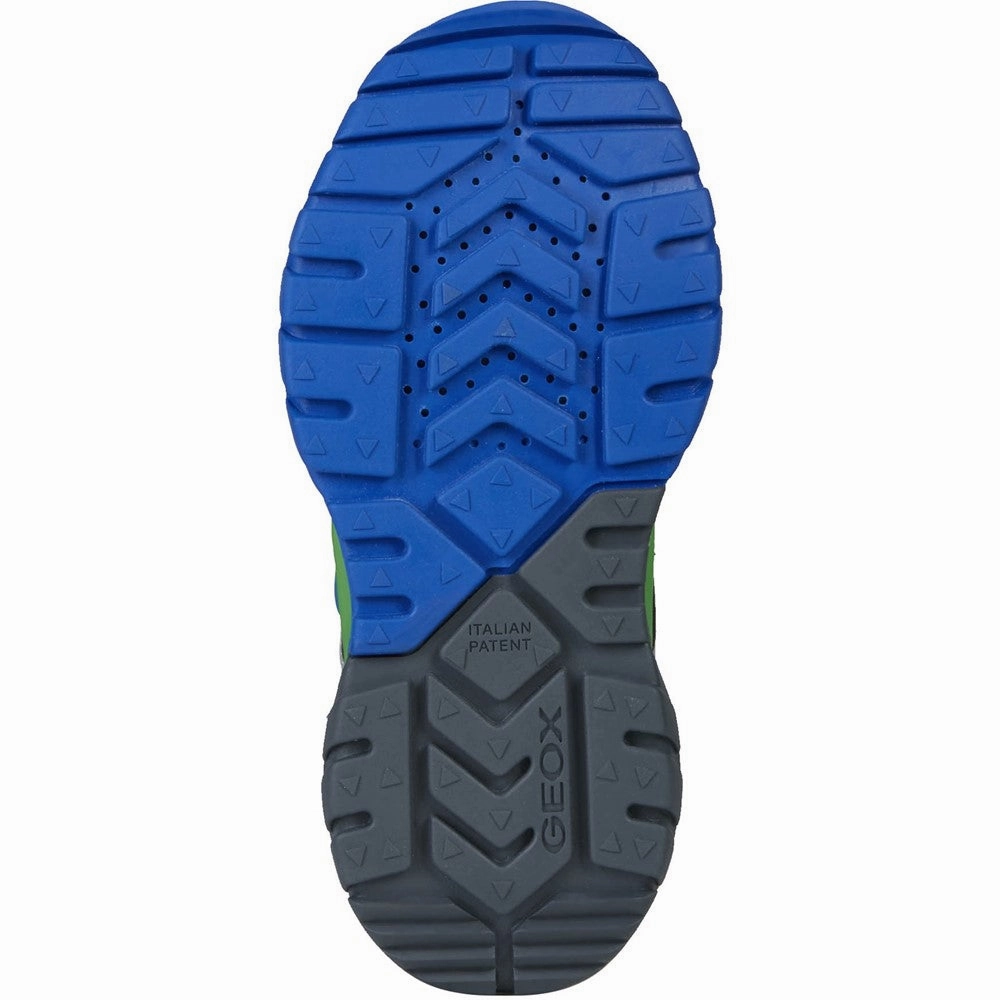 Dog Jog Geox Tuono Infant Boy Touch Fastening Shoes