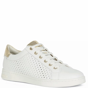 Gym Style Geox D Jaysen B Sneakers
