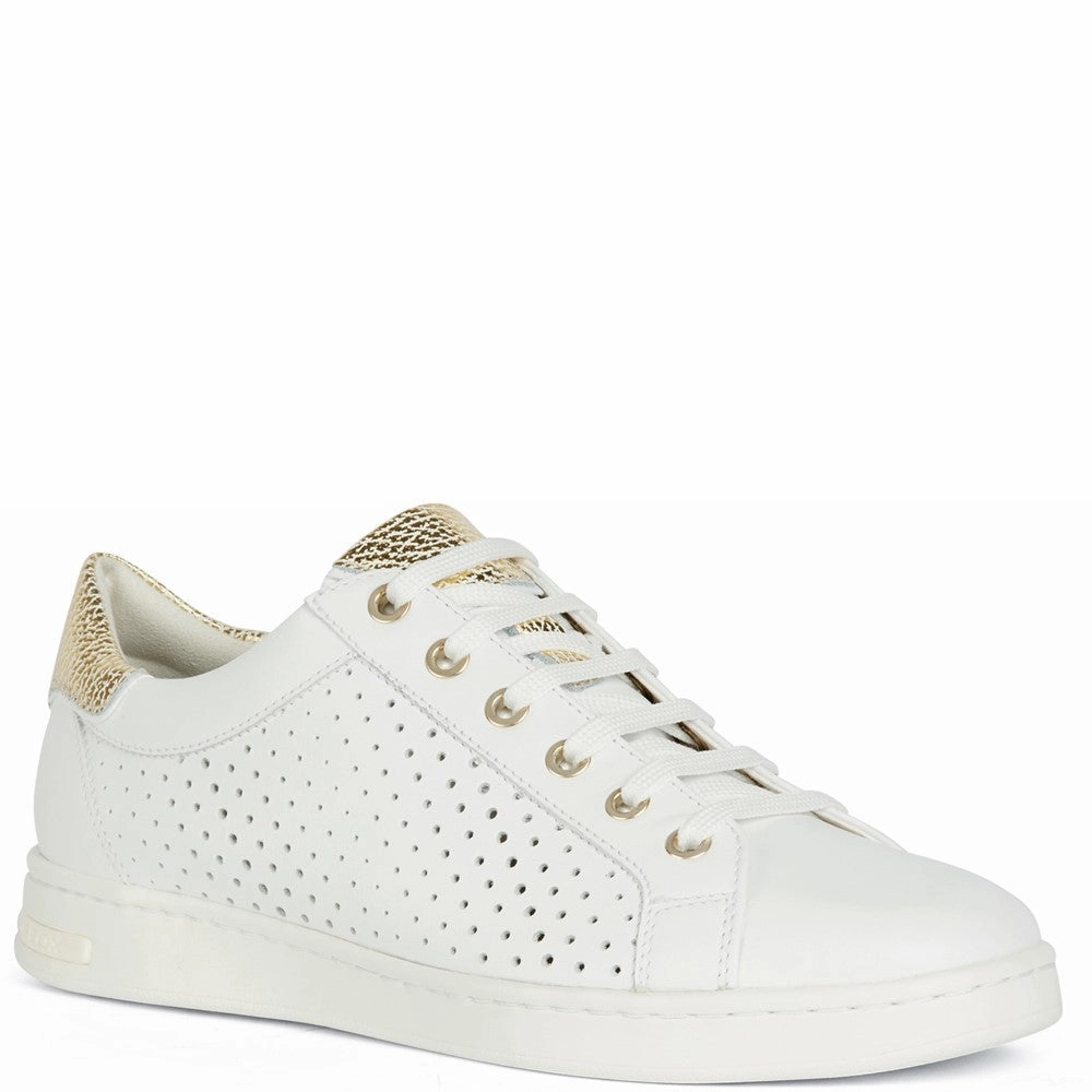 Gym Style Geox D Jaysen B Sneakers