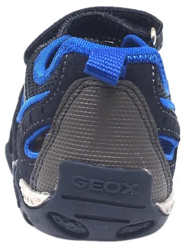 Asics Anniversary Shoes Geox Boy's Aragon Navy & Royal Blue Single Hook and Loop Strap Closed Toe with Bumper and Elastic Lace Sandal