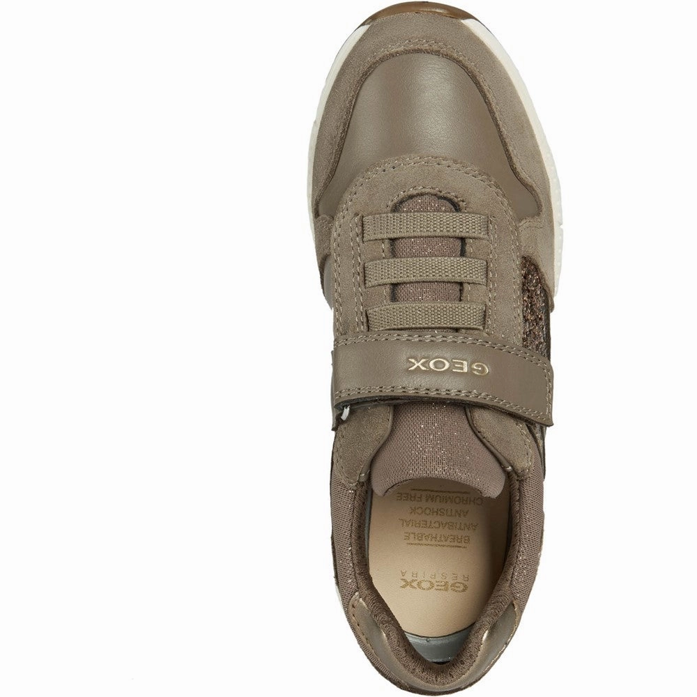 Smooth Texture School friendly Geox Alben Girl Elastic Laces Shoes