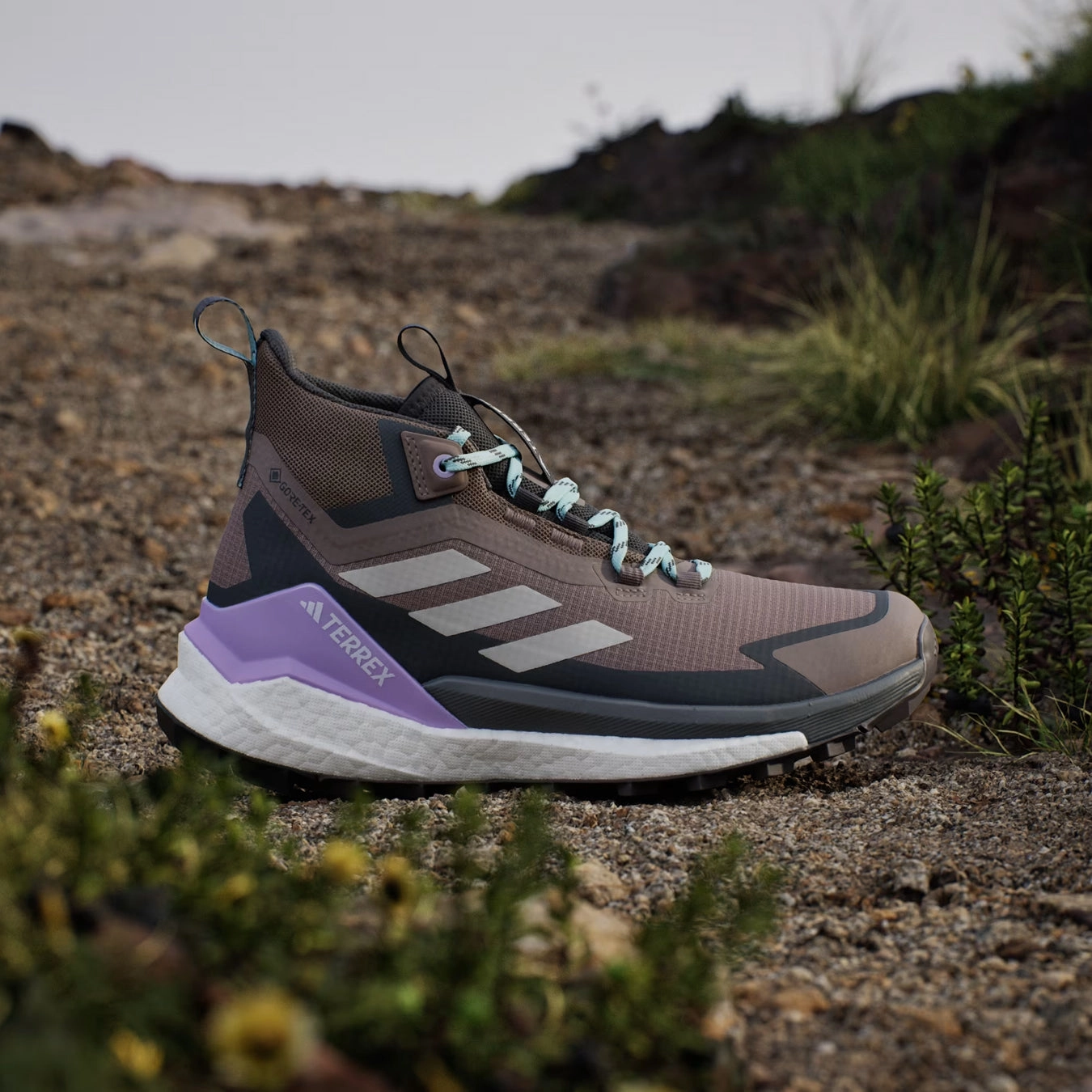 Snow Adidas Terrex Womens Free Hiker 2.0 Gore-Tex Hiking Shoes Trace Brown / Beige / Carbon