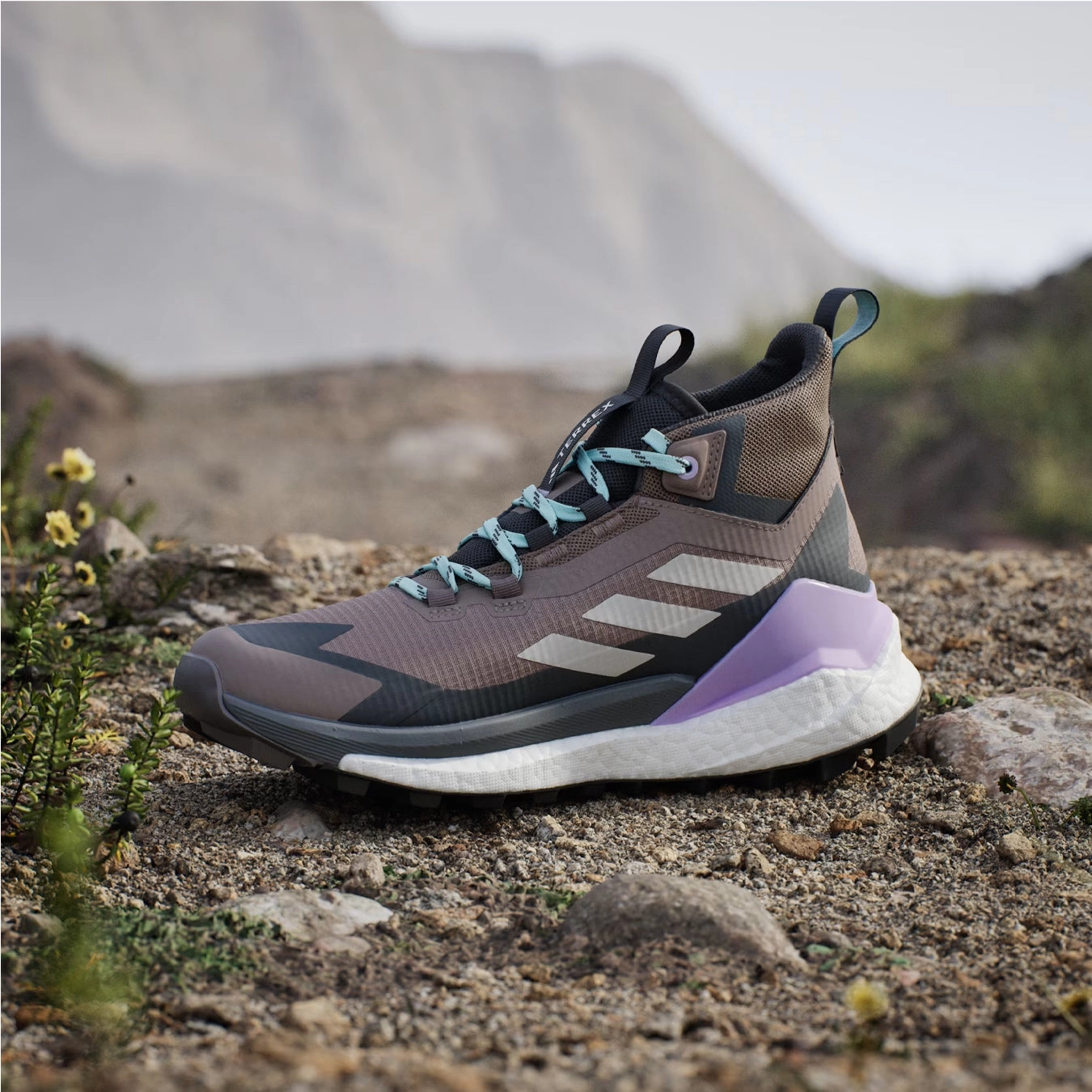 Recyclable Camping Gear Adidas Terrex Womens Free Hiker 2.0 Gore-Tex Hiking Shoes Trace Brown / Beige / Carbon