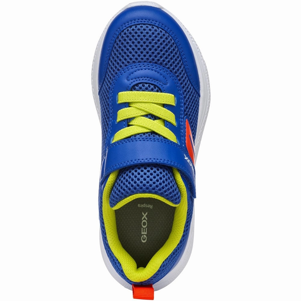 Geox J Sprintye Boy Junior Trainers Stylish