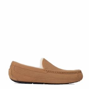 Soft Leather UGG Ascot Slipper Chestnut