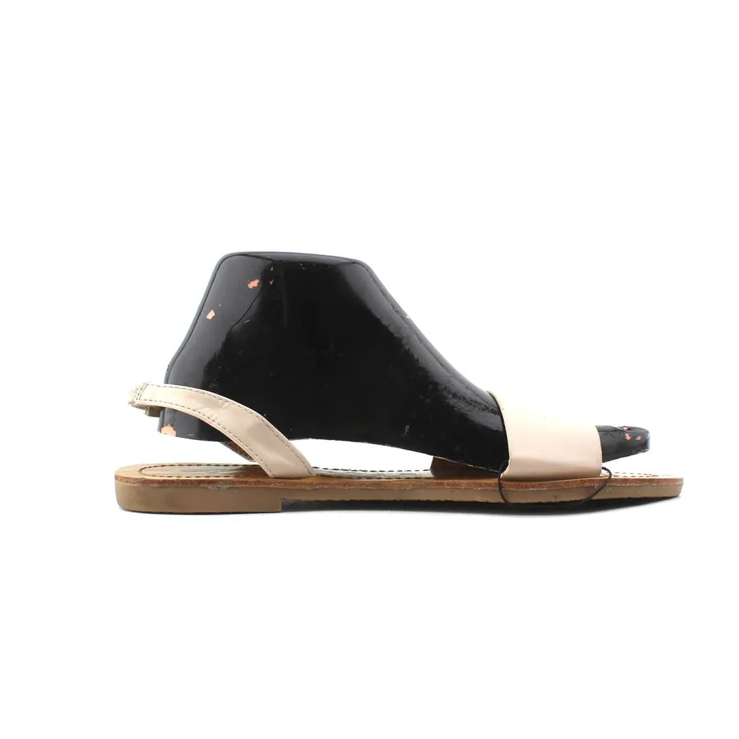 Pictures Of Lady Slippers Flowers MIULA MIULA .