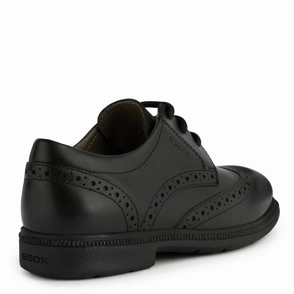 Sand Beige Geox Federico Senior School Shoes