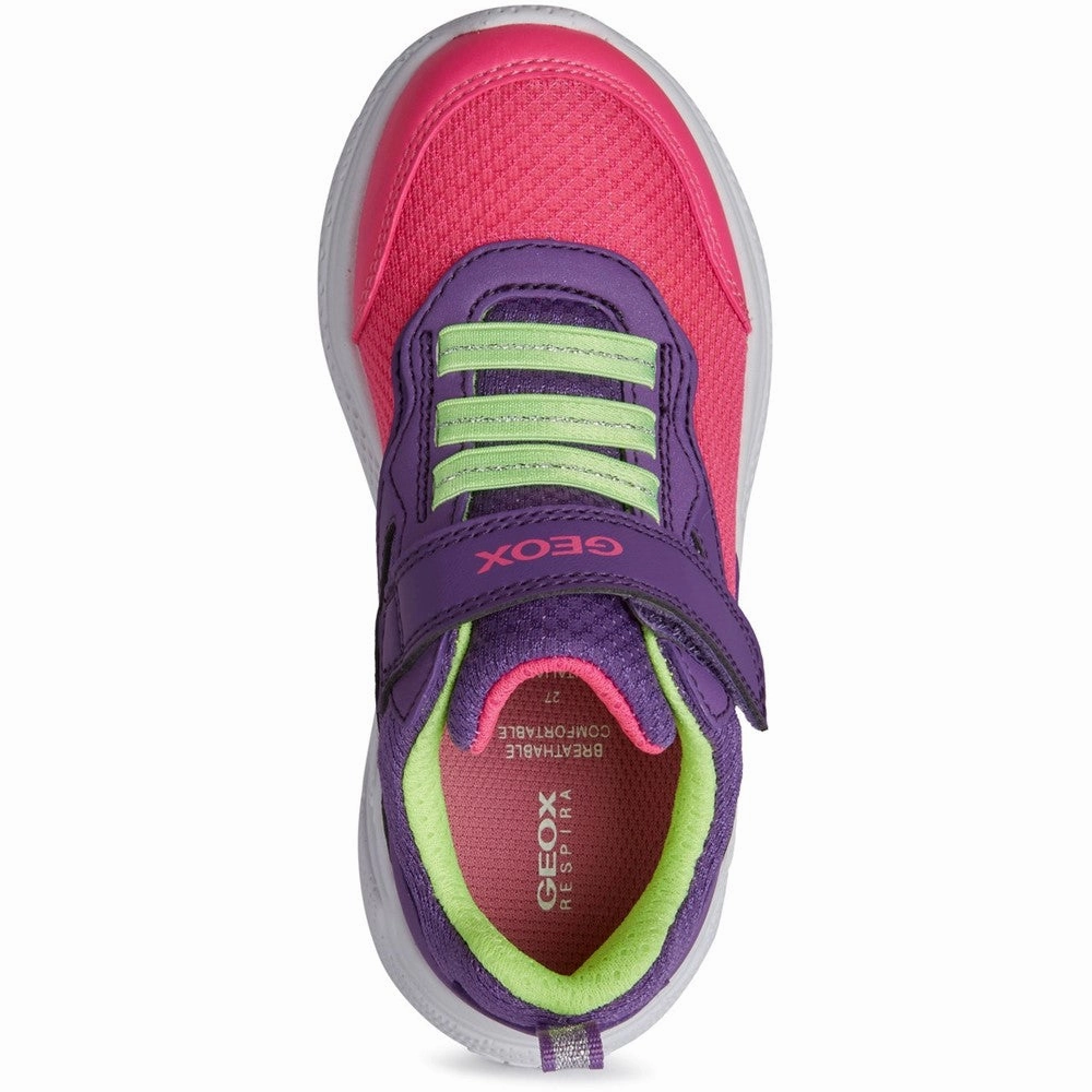 Purple Dream Derby Style Geox Sprintye Trainers
