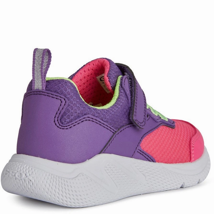 Wear Often Geox Sprintye Trainers