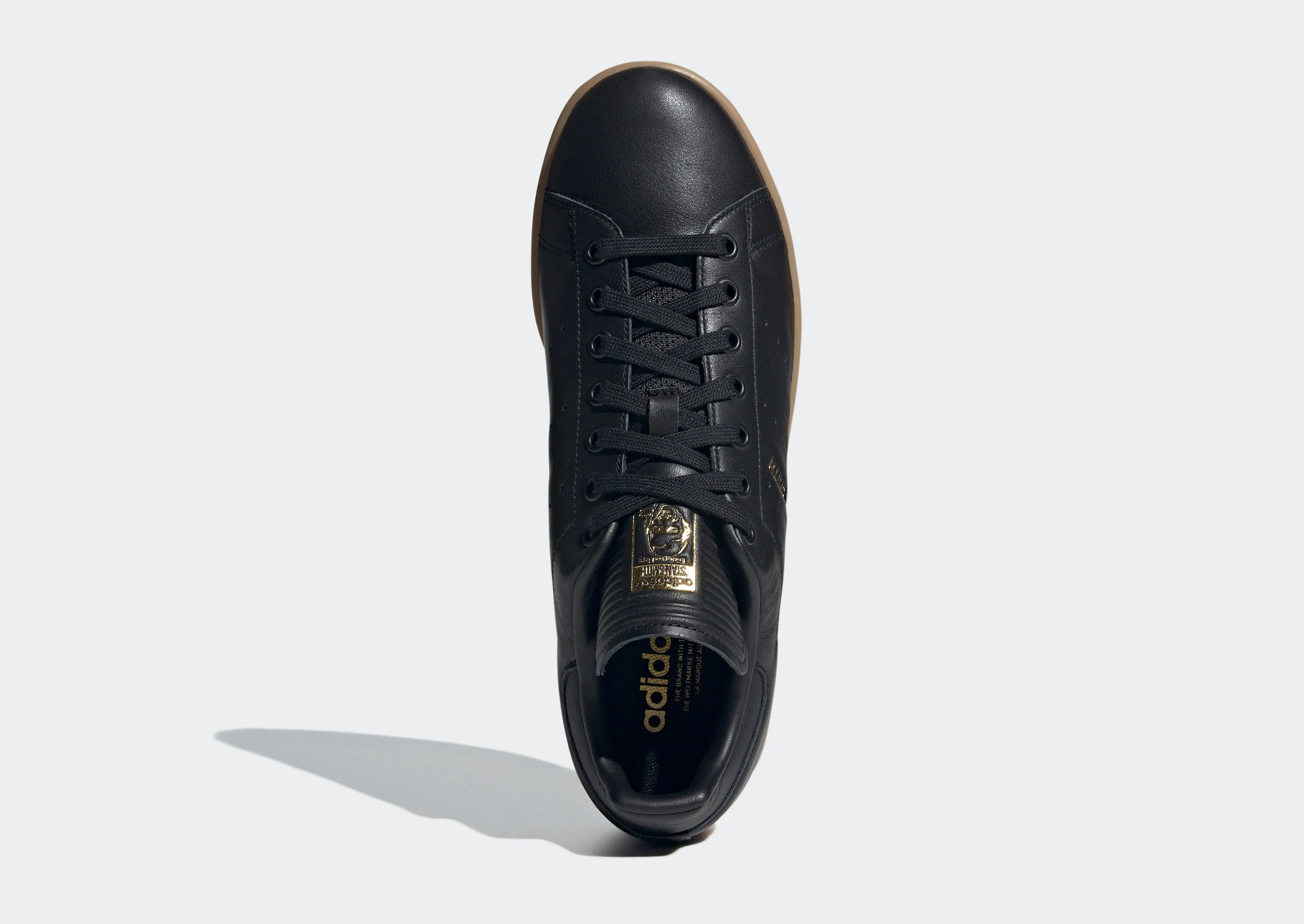 Stan Smith Adidas Gore Tex Shoes Terrex