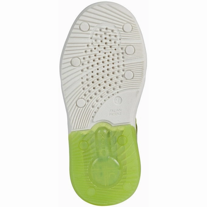 Geox Grayjay Shoes Dog Jog