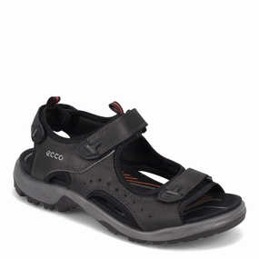 Sunshine Walk Metal Ring Men's Ecco, Offroad Andes II Sandal