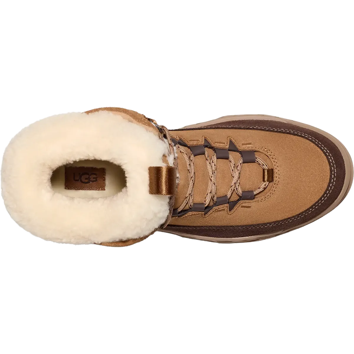 Women's TerreTrail Cozy Lace Vans Snow Boots Mte