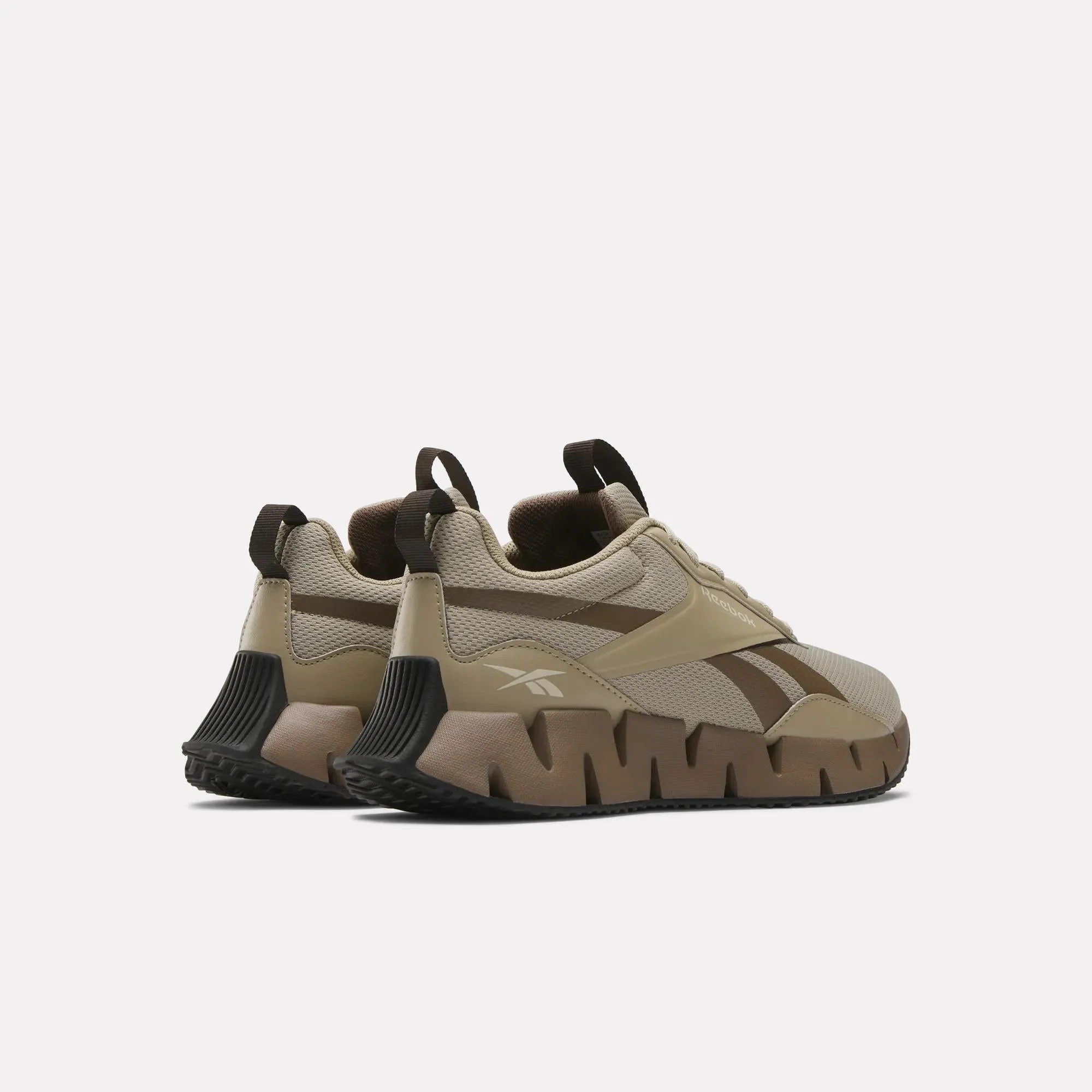 Zig Dynamica STR Shoes